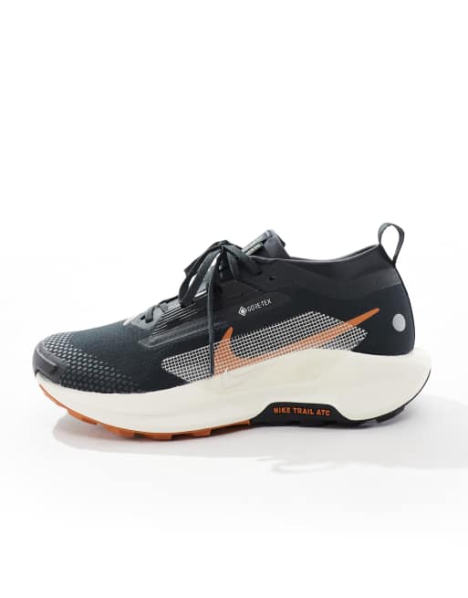 Nike Running Pegasus Trail 5 GORE-TEX sneakers in black and brown