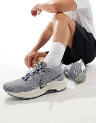 Кроссовки Nike Running Pegasus Trail 5 GORE-TEX серого цвета 25390₽