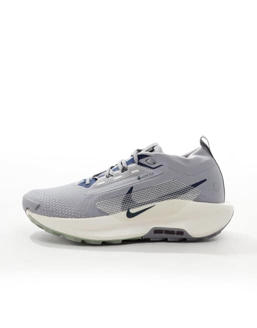 Nike Running Pegasus Trail 5 GORE TEX sneakers in gray