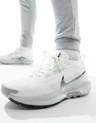 Pegasus Trail 5 Gore-Tex sneakers in off white and silver-Neutral