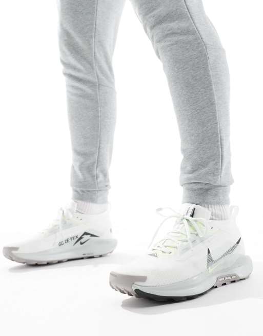 Nike Running Pegasus Trail 5 Gore-Tex sneakers in off white  display picture 2