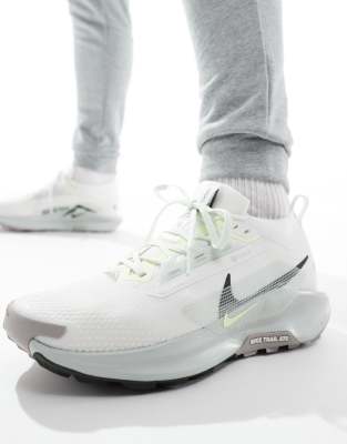 Nike Running - ReactX Pegasus Trail 5 GORE-TEX - Lyse sølvgrå sneakers - view 1