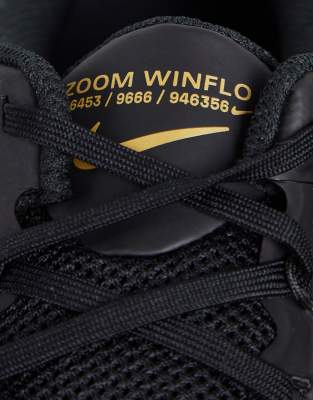 zoom winflo 6453