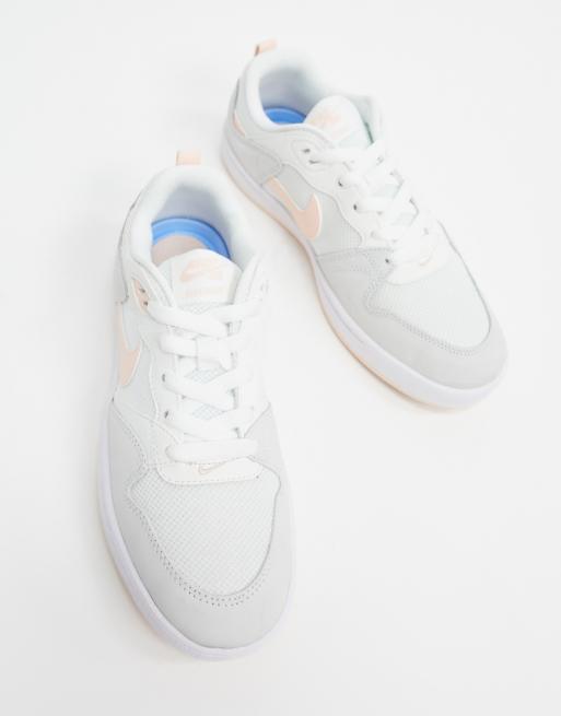 baskets nike sb baskets nike sb
