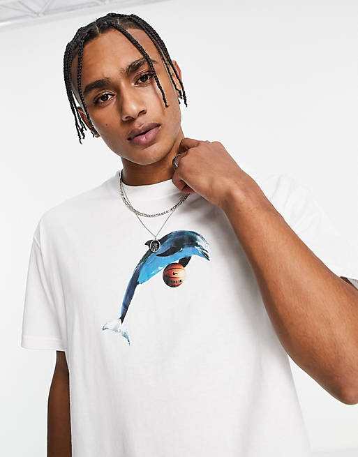 Men Nike SB Bernard dolphin chest print t-shirt in white 