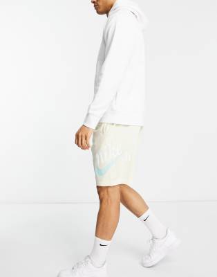 Nike SB Essential Sunday shorts in 