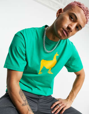 Nike SB Nike SB Paul Llama graphic t-shirt in green
