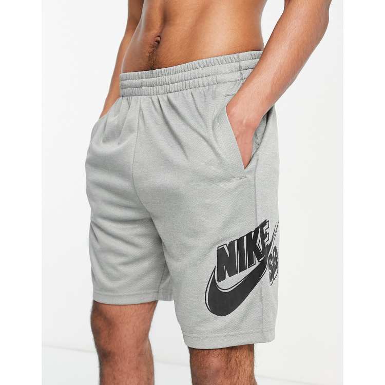 Nike sb store shorts grey