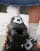 Thumbnail 4 von 5