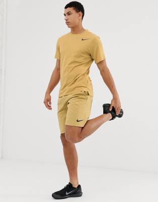 nike training flex 2.0 shorts