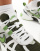 Thumbnail 4 von 5