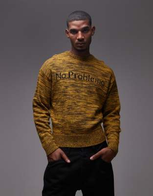No Problemo No Problemo mosca logo cotton-wool mix knitted jumper in brown space dye