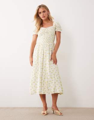 Nobody's Child Petite - Savanna - Midikleid in Elfenbein mit Blümchenmuster-Weiß