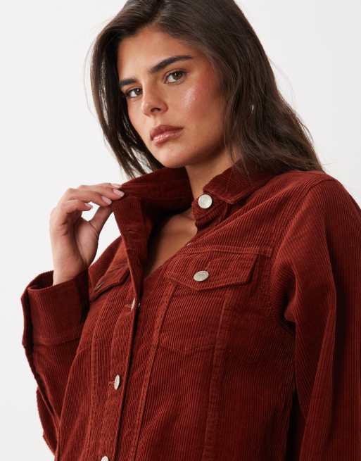 Nobody's Child Sheena cord spread collar button down shirt dress in rust, 4 of 4