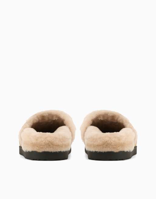 Nokwol Talulla mules in biscuit, 2 of 3