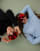 Thumbnail 4 von 4