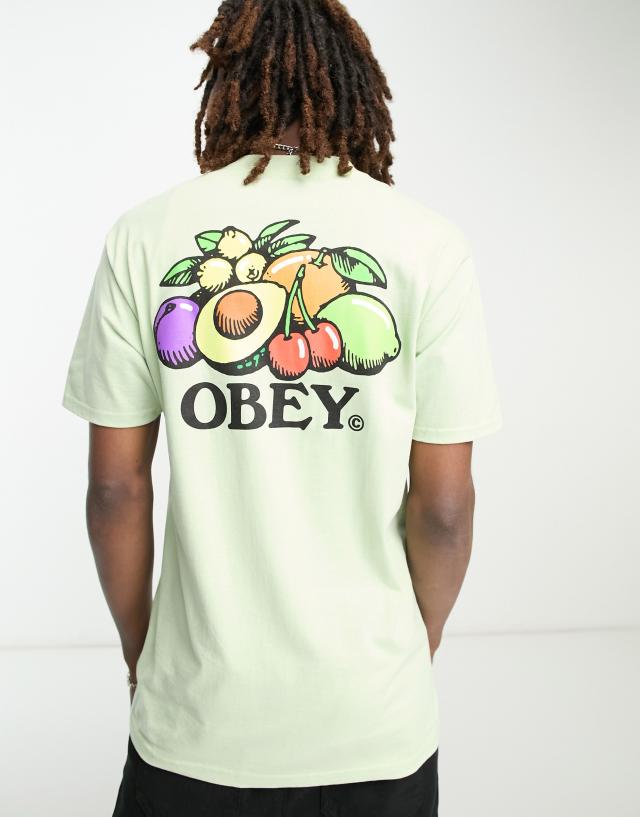 Obey - bowl of fruit backprint t-shirt in green