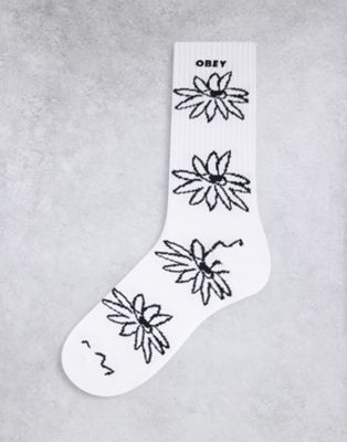 Obey natty socks in white