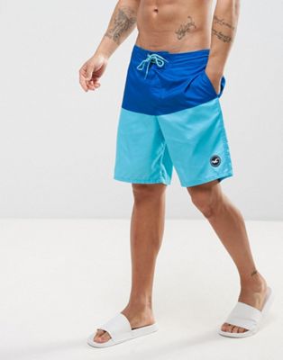 фото Однотонные пляжные шорты hollister-синий