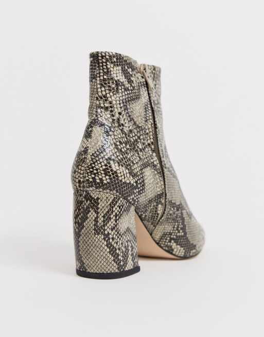 office snake print boots