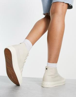 office sock trainers