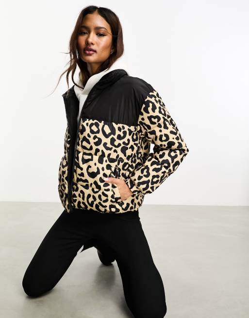 Only colour block padded jacket in leopard & black