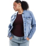 [Only Curve] Only Curve denim jacket in light blue 52 Light blue denim