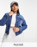 [Only Curve] Only Curve denim jacket in mid blue wash 44 Light blue