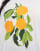 Thumbnail 3 of 4