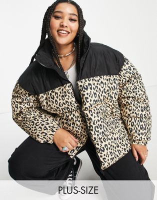 Only Curve padded jacket in leopard & black