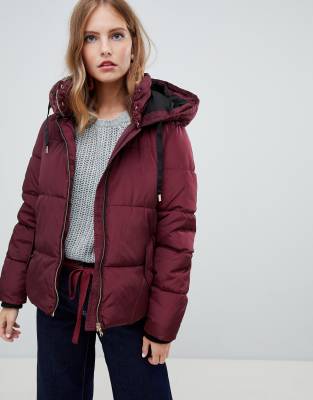 premium down trophy jacket superdry