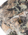 Thumbnail 3 van 5