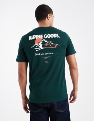 Only & Sons Oversized Fit T-shirt With Alpine Back Print In Green