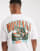 Thumbnail 5 van 5