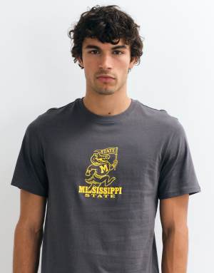 ONLY & SONS regular fit t-shirt with Mississippi football print in grey