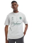 [ONLY & SONS] ONLY & SONS relaxed fit t-shirt with profound print in grey S Mirage grey