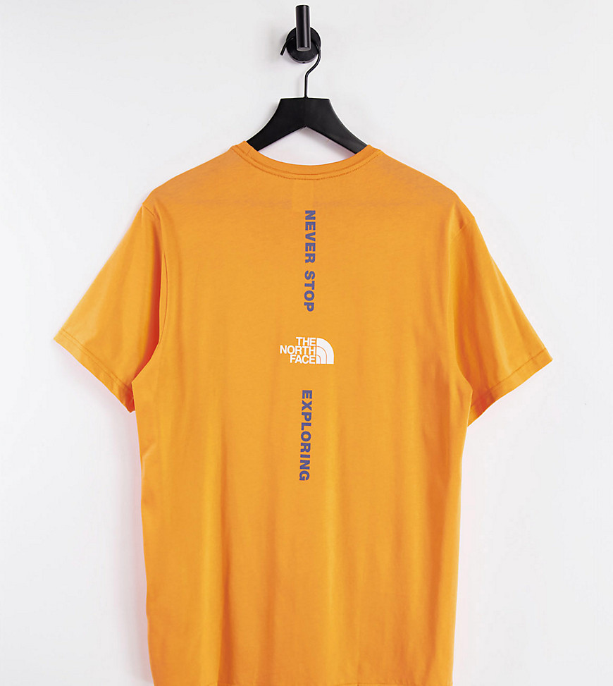 фото Оранжевая футболка с вертикальным принтом the north face – эксклюзивно для asos-оранжевый цвет