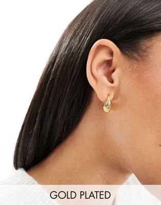 Orelia 18k gold plated tapered dome twist hoop earrings - ASOS Price Checker