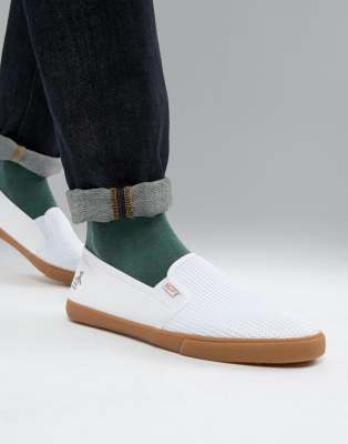 penguin plimsolls