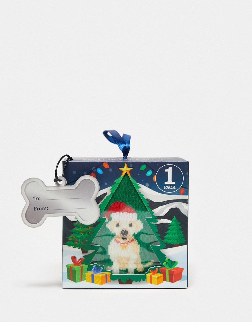 Orrsum Sock Company Christmas Dog Socks In Gift Box In Green