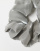 Thumbnail 3 of 4