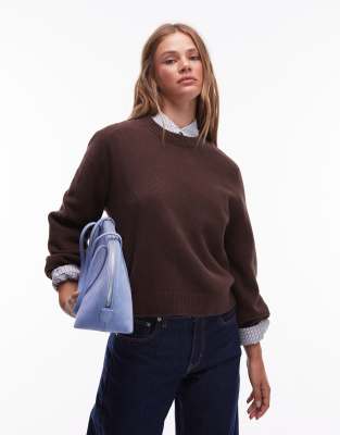 & Other Stories Crew Neck Sweater With Volume Sleeves In Brown