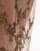 Thumbnail 5 van 5