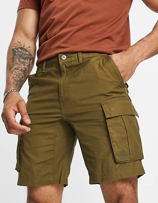Hombre Pantalones cortos | Pantalones cortos caquis cargo Anticline de The North Face - JF07449