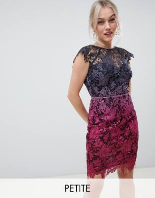 Paper Dolls Petite Midi Lace Dress With Scalloped Back In Ombre Metallic Lace multi ModeSens