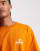 Thumbnail 5 of 5