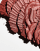Thumbnail 2 von 4