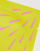 Thumbnail 2 von 4