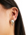 Thumbnail 4 of 4
