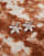 Miniaturebillede 2 af 3